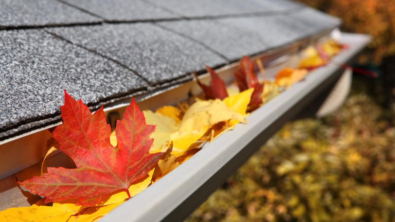 Gutters – not Urgent but Important