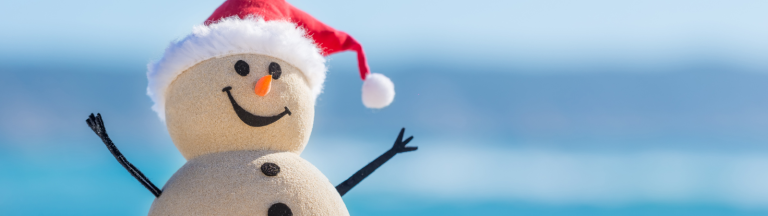 Investor Personality Profile – Christmas Edition